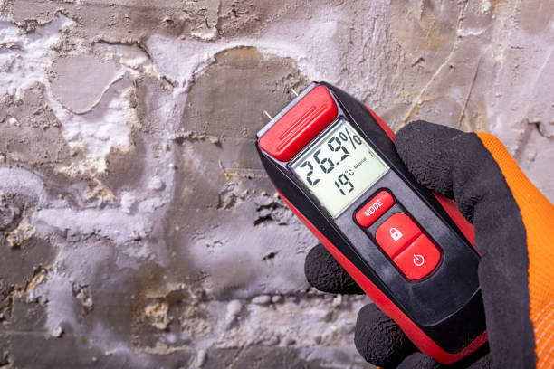 Trusted Bull Mountain, OR Mold Remediation Experts
